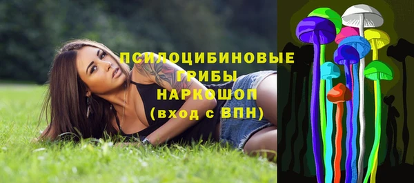 трава Лабытнанги