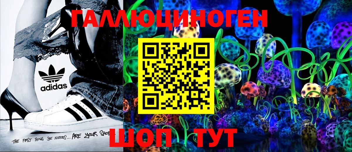 Ишимбай  Галлюциногенные грибы Psilocybe  Вход с VPN  Галлюциногенные грибы Psilocybine cubensis 