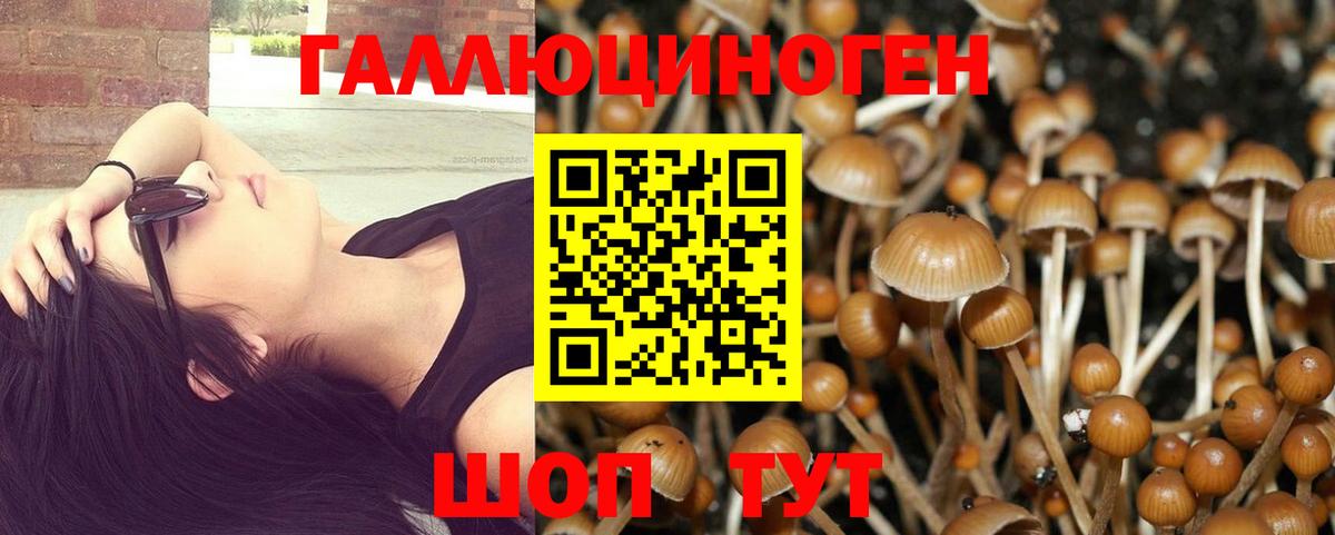 Псилоцибиновые грибы мухоморы  Псилоцибиновые грибы Cubensis  Ишимбай 