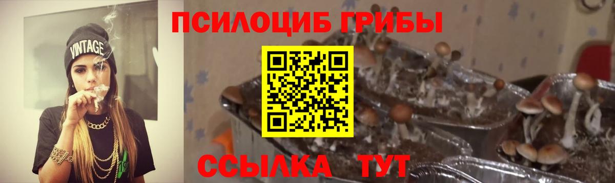 Галлюциногенные грибы прущие грибы Ишимбай